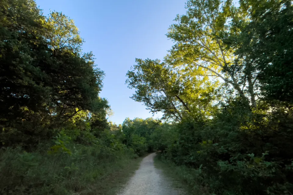 Trilha de terra entre árvores verdes, sob um céu azul