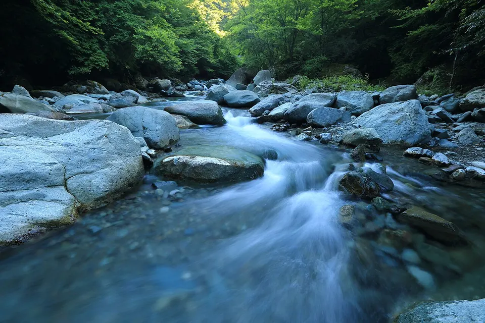 Riacho de águas cristalinas correndo entre pedras numa floresta